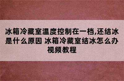 冰箱冷藏室温度控制在一档,还结冰是什么原因 冰箱冷藏室结冰怎么办视频教程